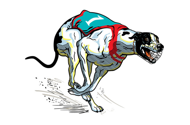Greyhound Racing Factors